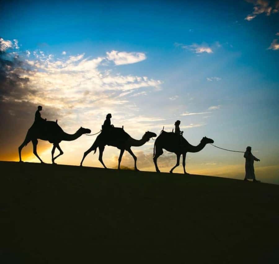 Doha: Stargazing Desert Safari w/ Dune Bashing & Camel Ride - Leaving Doha in an air-conditioned 4x4