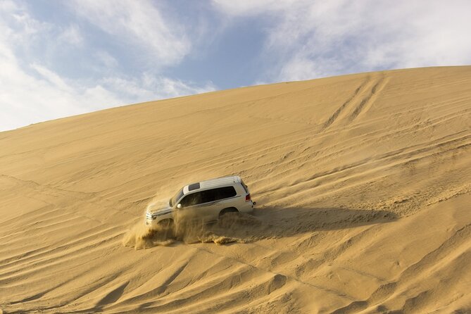 Doha Sunrise Desert Safari Tour| Dune Bashing| Inland Sea visit| Camel Riding - Camels, Falcons, and Optional Extras