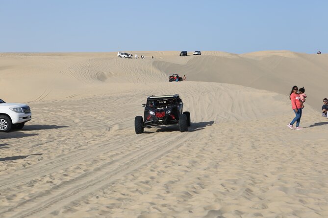 Doha; Sunrise Desert Tour and camel safari 4hrs - Why a pre-dawn start works in Qatar