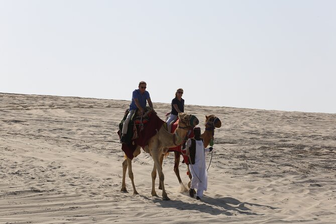 Doha; Sunrise Desert Tour and camel safari 4hrs - Sunrise over the dunes