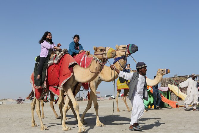 Doha; Sunrise Desert Tour and camel safari 4hrs - The Inland Sea and time by the water
