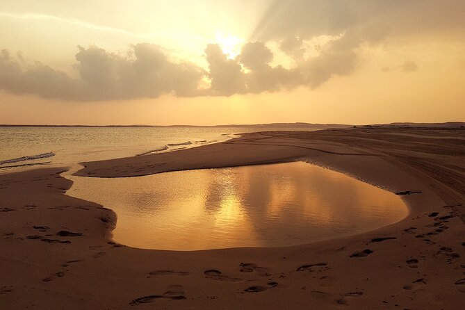 Doha: Sunrise /Sunset Desert Safari with Sand Boarding,Camel ride - From Doha to the open desert
