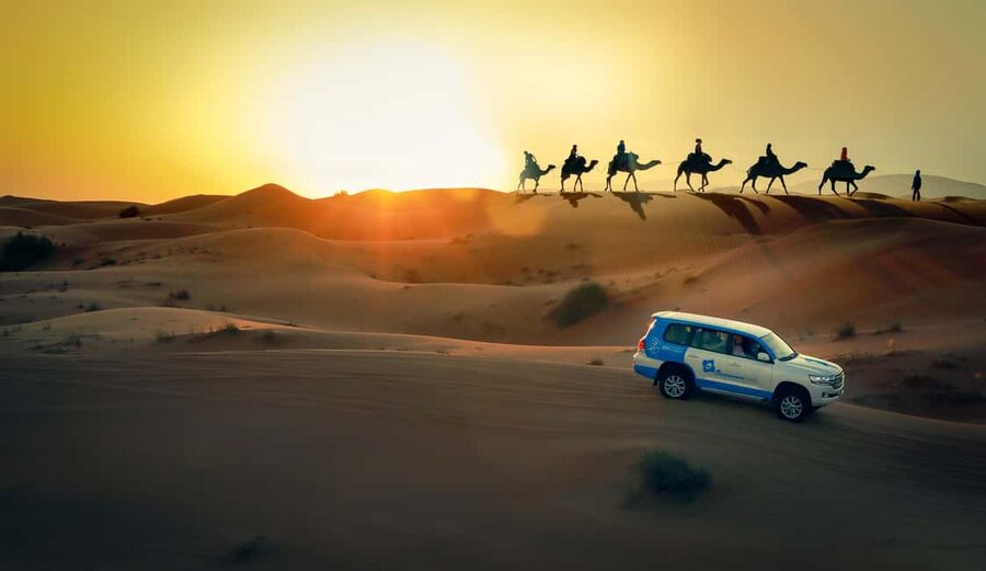 Doha: Sunset Desert Safari, ATV, Camel Ride and Sandboarding - What this Doha desert safari is really like