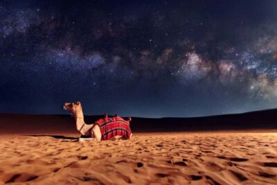 Sunset Desert Safari, ATV, Camel Ride and Sandboarding