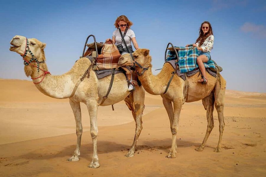 Doha: Sunset Desert Safari, ATV, Camel Ride and Sandboarding - Is $58 good value?