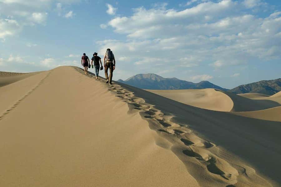 Doha: Thrilling 4x4 Desert Safari, Inland Sea-All Activities - The camel stop adds a human touch