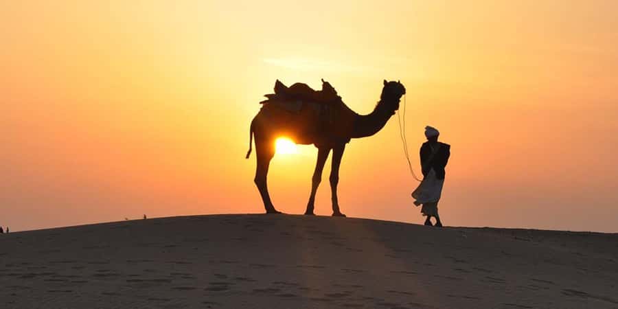 Doha: Thrilling 4x4 Desert Safari, Inland Sea-All Activities - Who should book this desert safari?