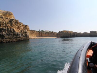 Dolphin Safari and Cave Tour in Vilamoura