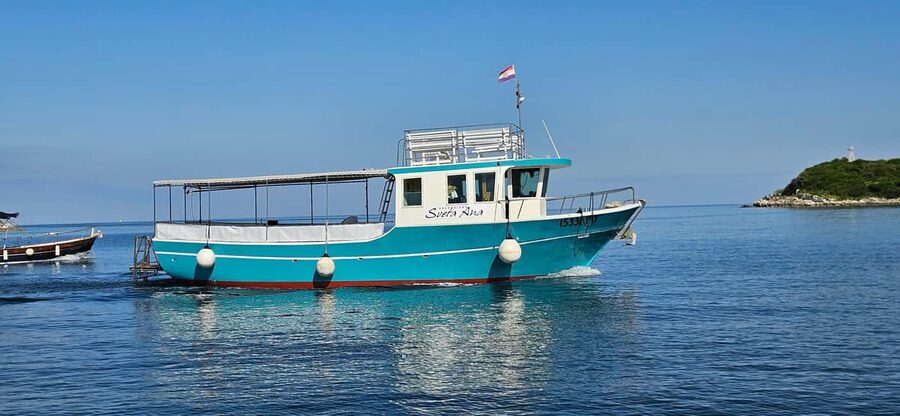 Dolphin Safari Boat Trip from Marina Funtana - Searching for dolphins in the open water