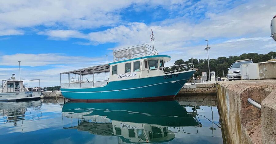 Dolphin Safari Boat Trip from Marina Funtana - Should you book Dolphin Safari Boat Trip from Marina Funtana?