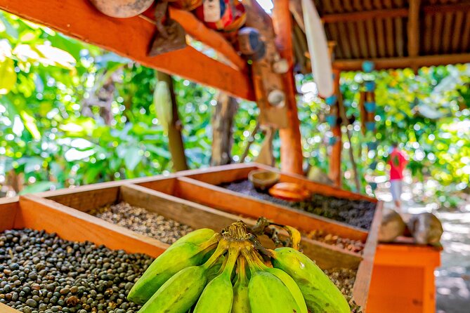 Dominican Republic Countryside Safari Tour from Punta Cana - A Dominican family home and farm products