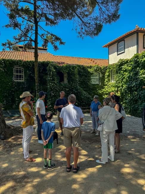 Douro Valley: 4x4 Safari and Vineyard Visit - Wine, Port, and the planned country brunch