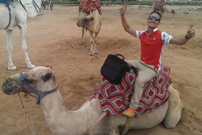 Dromedary Safari: 2 hours - A short camel ride with a real sense of place