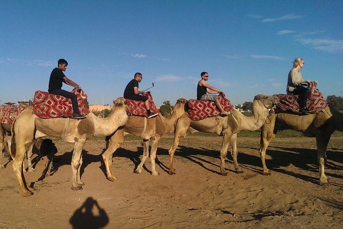 Dromedary Safari: 2 hours - Riding conditions and animal care
