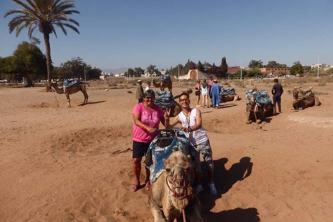 Dromedary Safari: 2 hours - Transport, pickup, and group size