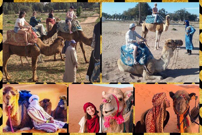 Dromedary Safari: 2 hours - Is $33.14 a fair price?