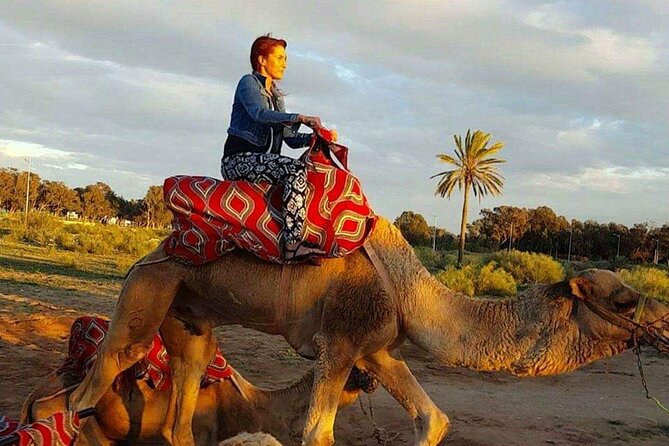 Dromedary Safari: 2 hours - Who will enjoy this outing most?