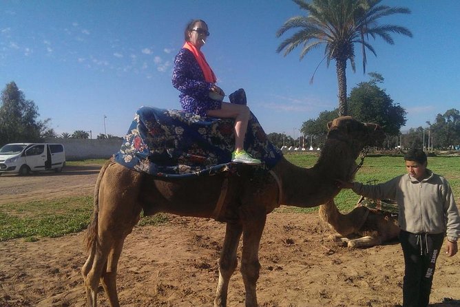 Dromedary Safari: 2 hours - Why the Royal Palace passage matters