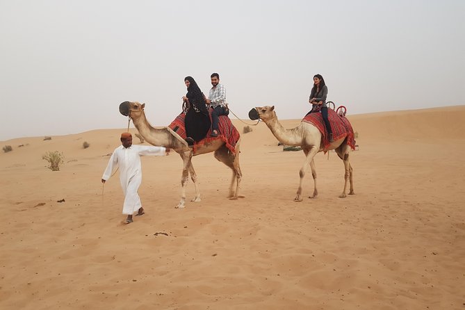 Dubai 4x4 Desert Safari, Quad Bike, Camel Ride & BBQ Dinner - Al Royal Desert Camp and Emirati-style touches