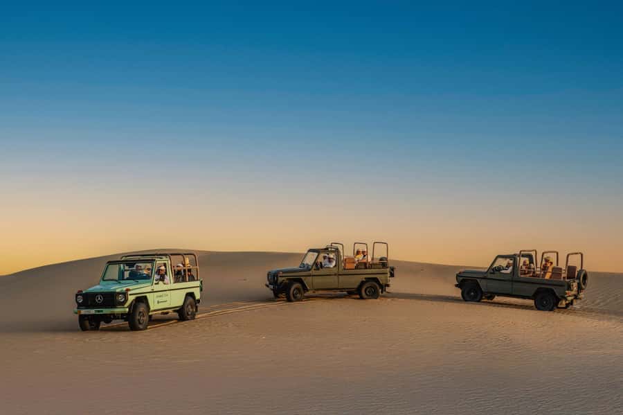 Dubai: Al Marmoom Oasis Safari, Animal Spotting & Breakfast - Why Al Marmoom feels different from Dubai’s usual safari