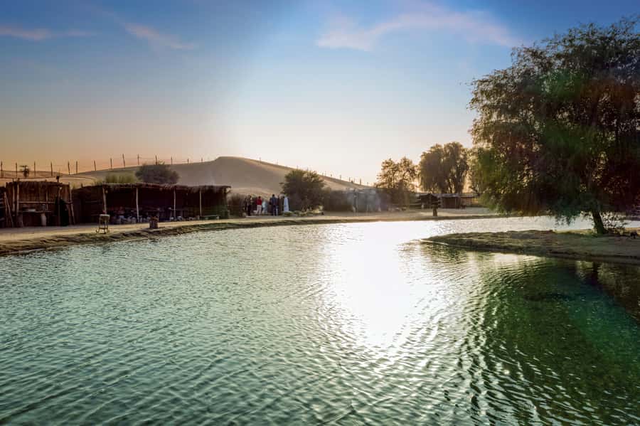 Dubai: Al Marmoom Oasis Safari, Animal Spotting & Breakfast - The camel caravan at Al Marmoom Oasis