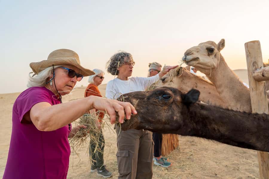 Dubai: Al Marmoom Oasis Safari, Animal Spotting & Breakfast - Bedouin village welcome, gahwa, and traditional dress