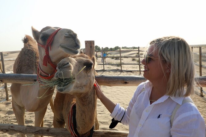 Dubai: Al Marmoom Oasis Vintage Safari: Camels, Stargazing & Meal - Al Marmoom Reserve and the Bedouin village