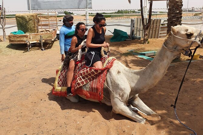 Dubai: All Inclusive Desert Safari with ATV, Camel, Horse ride, Vip & more - Is the $164.50 price good value?