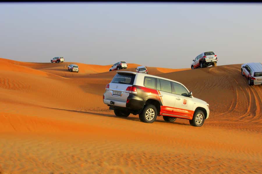 Dubai: Bedouin Camp, Dune Safari, Falcon Show & BBQ Dinner - Pickup From Dubai, Sharjah, and Ajman