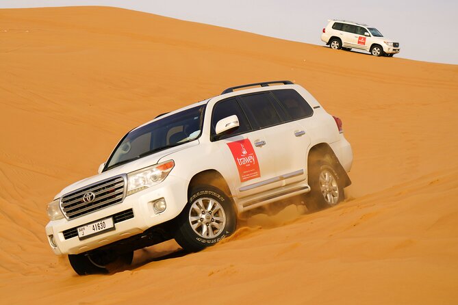 Dubai Buggy Tour in red sands and Desert Safari - What is included, and what is not