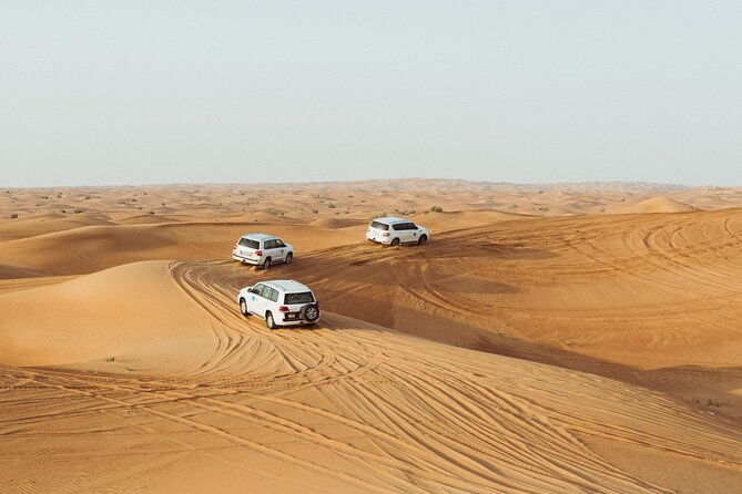 Dubai Buggy Tour in red sands and Desert Safari - Who will enjoy this desert experience most