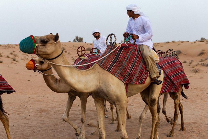 Dubai Camel Desert Safari, Traditional Meal & Heritage Activities - Sunset falconry in the sand