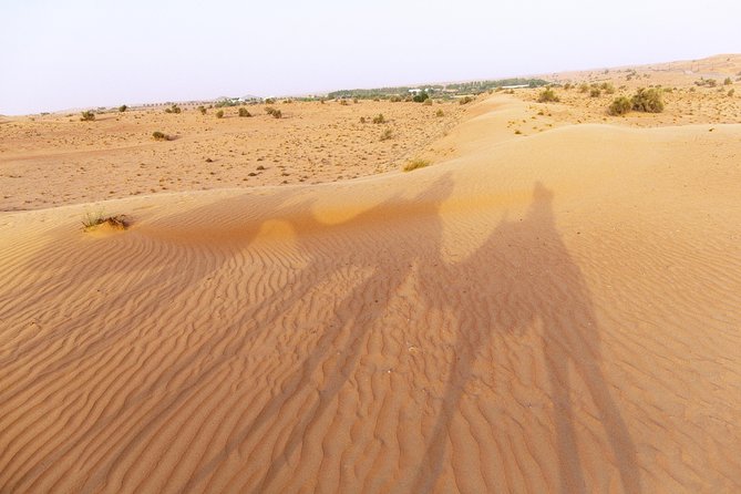 Dubai Camel Desert Safari, Traditional Meal & Heritage Activities - Leaving Dubai for the Dubai Desert Conservation Reserve