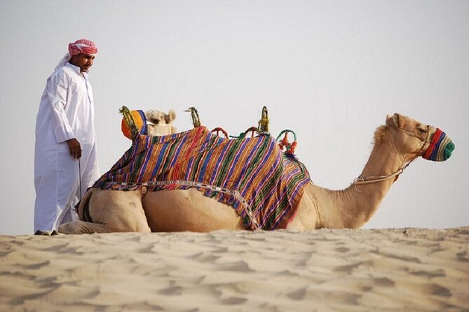 Dubai City Tour and Evening Desert Safari Combo - Old Dubai by creek, souk, and abra