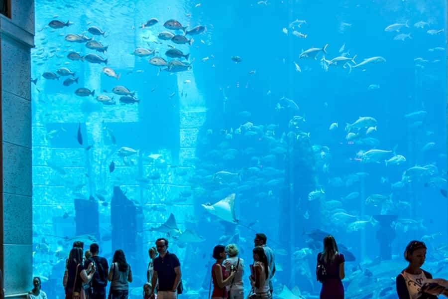 Dubai Combo: Morning City Tour & Evening Desert Safari - The city tour: modern icons and older Dubai