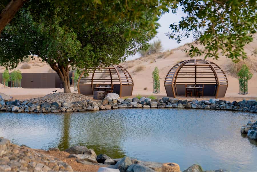 Dubai: Conservation Drive & Platinum Breakfast - Breakfast at the Platinum Camp or Al Maha