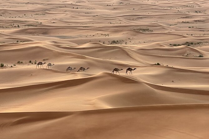 Dubai Desert Safari, Camel, Live BBQ & Shows (Private 4x4 Car) - The key things to know before booking