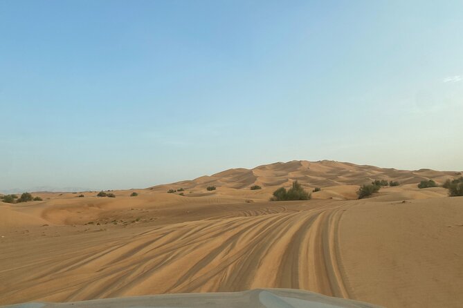 Dubai Desert Safari, Camel, Live BBQ & Shows (Private 4x4 Car) - Tanoura, belly dancing, and fire shows close the night