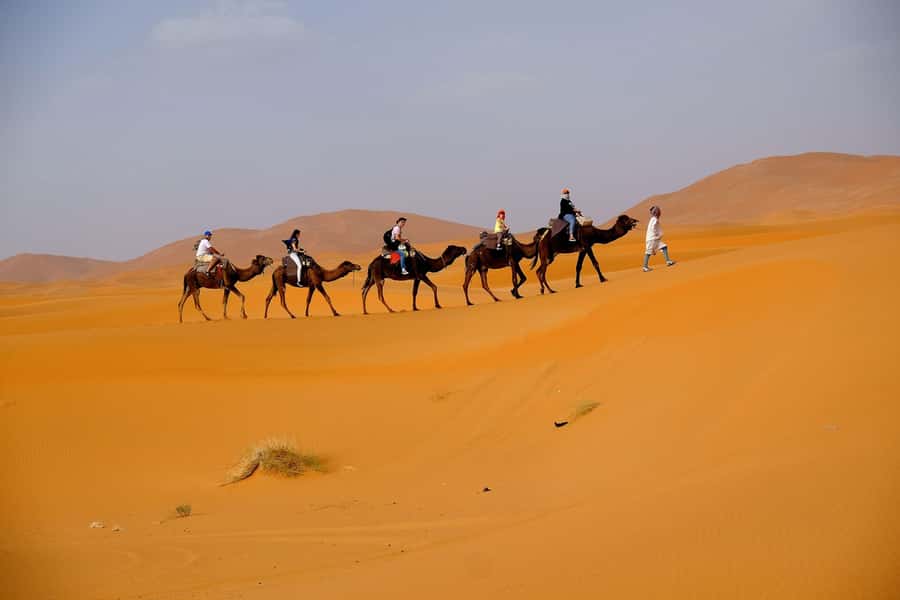 Dubai: Desert Safari, Camel Ride, and BBQ Dinner - Key points to know before booking
