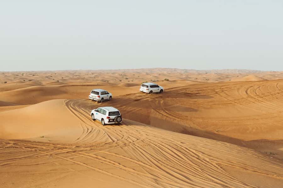 Dubai: Desert Safari, Camel Ride, and BBQ Dinner - From Dubai’s hotels to the open desert