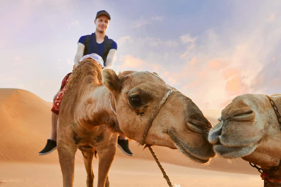 Dubai Desert Safari - Camel Ride, Sandboarding & 30 Min Quad - Sandboarding is easy to try, hard to master