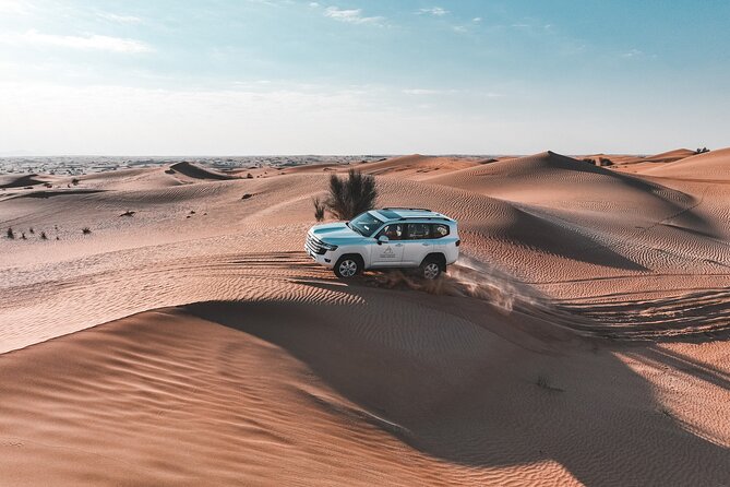 Dubai Desert Safari: Camel Ride, Sandboarding, BBQ & House Drinks - How the drivers shape the experience