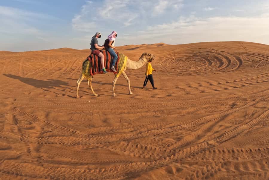 Dubai: Desert Safari, Camel Ride, Sandboarding, Quad Bike - The camel ride is brief but atmospheric