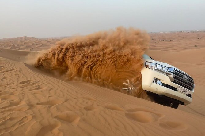 Dubai Desert Safari, Camel Ride, Shisha, Henna, Live BBQ & Shows - Practical advice for a smoother evening