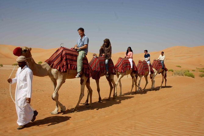 Dubai: Desert Safari, Camel Ride, Show & Optional Dinner - Morning or evening: which option suits you?