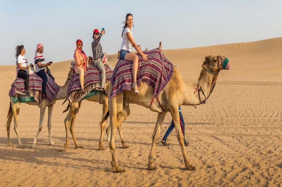 Dubai: Desert Safari Camel Riding, Sandboarding & BBQ Dinner - Key points at a glance
