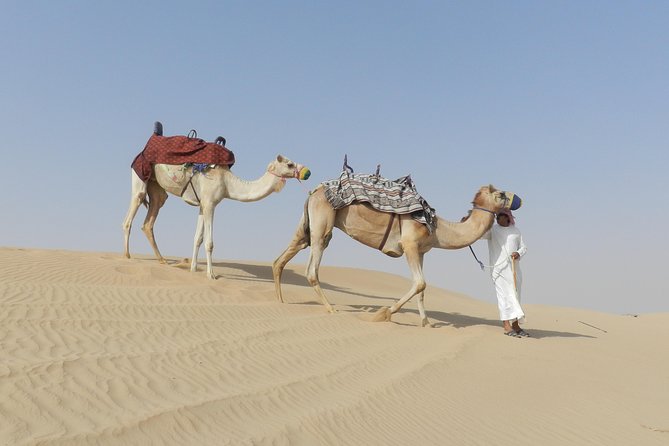 Dubai Desert Safari Dune Bashing, 60min ATV Quad, Camel Ride, BBQ - The Majlis camp after sunset
