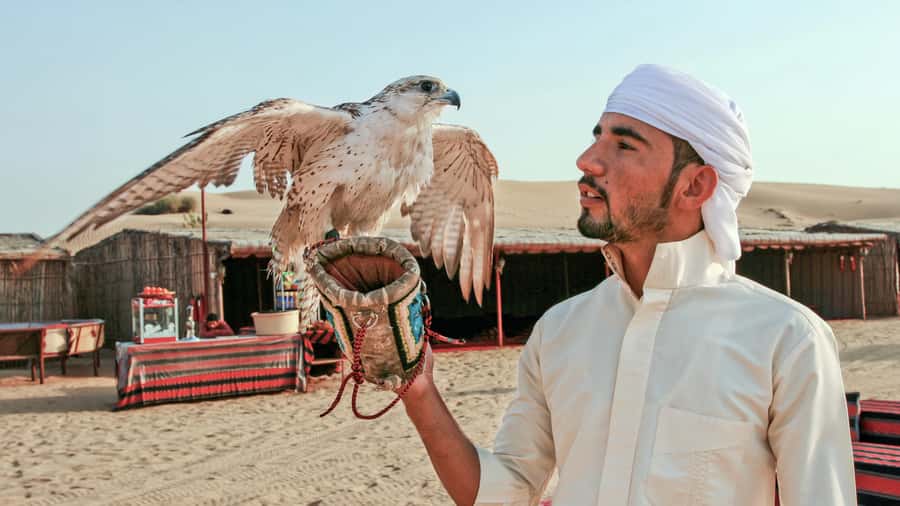 Dubai Desert Safari - Premium BBQ Dinner, Camel Ride & Shows - How the guides affect your day