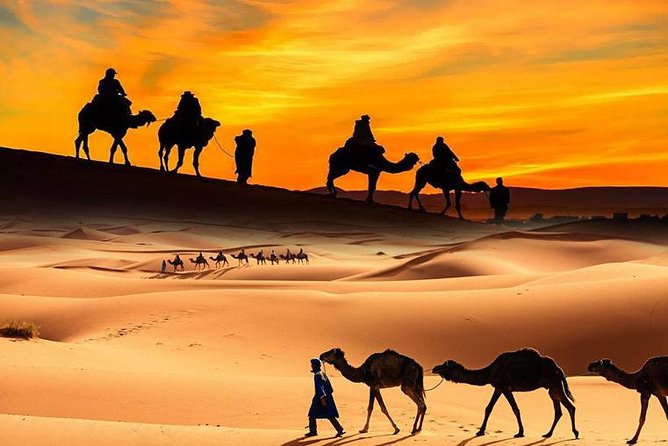 Dubai Desert Safari with BBQ, 3 Shows & Camel Ride at Majlis Camp - What this seven-hour desert evening is really like