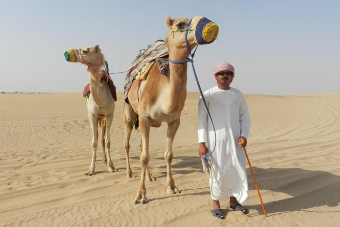 Dubai Desert Safari with BBQ, 3 Shows & Camel Ride at Majlis Camp - Three shows, three very different moods